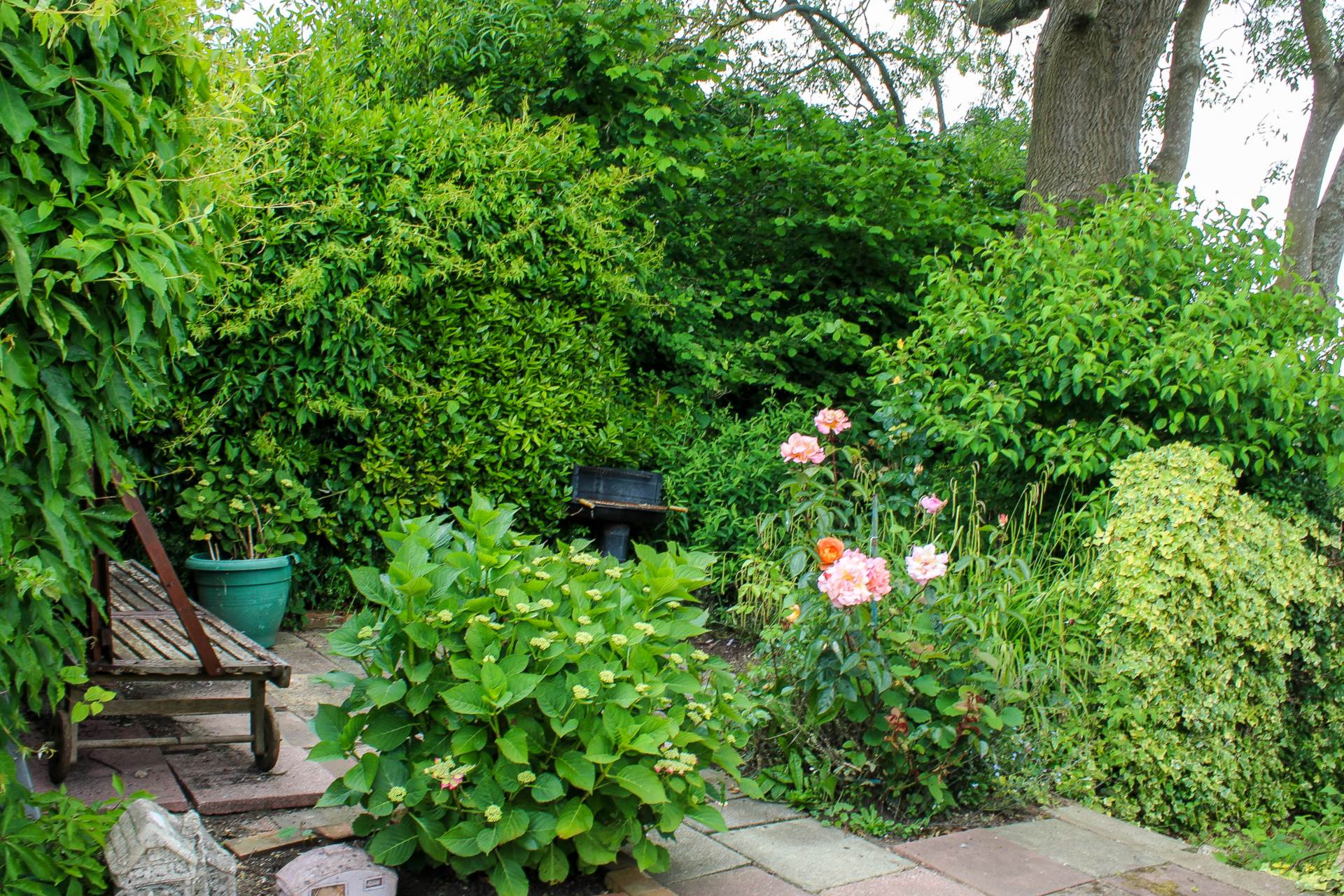 Deans Meadow, Barcombe, Image 11