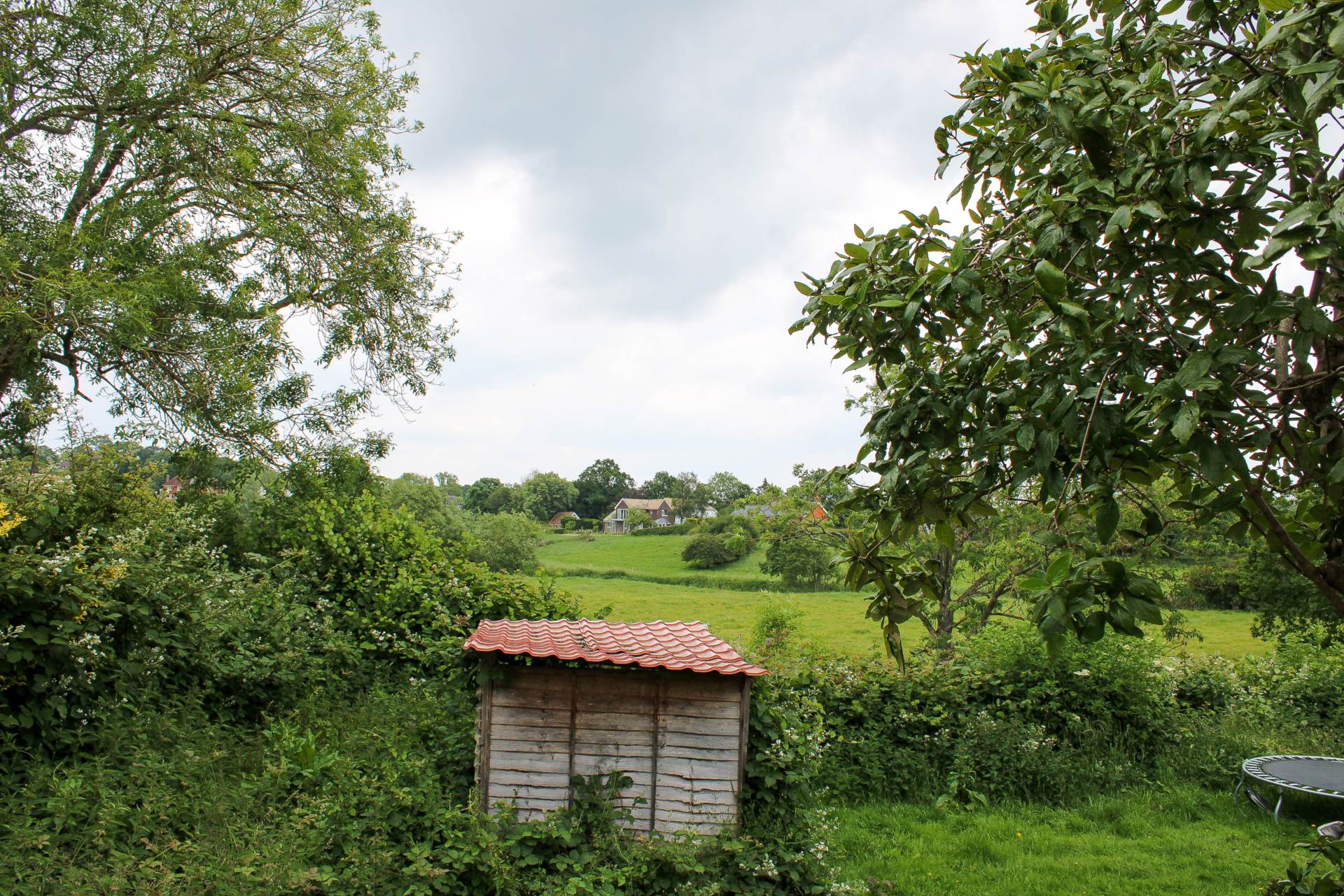 Deans Meadow, Barcombe, Image 13