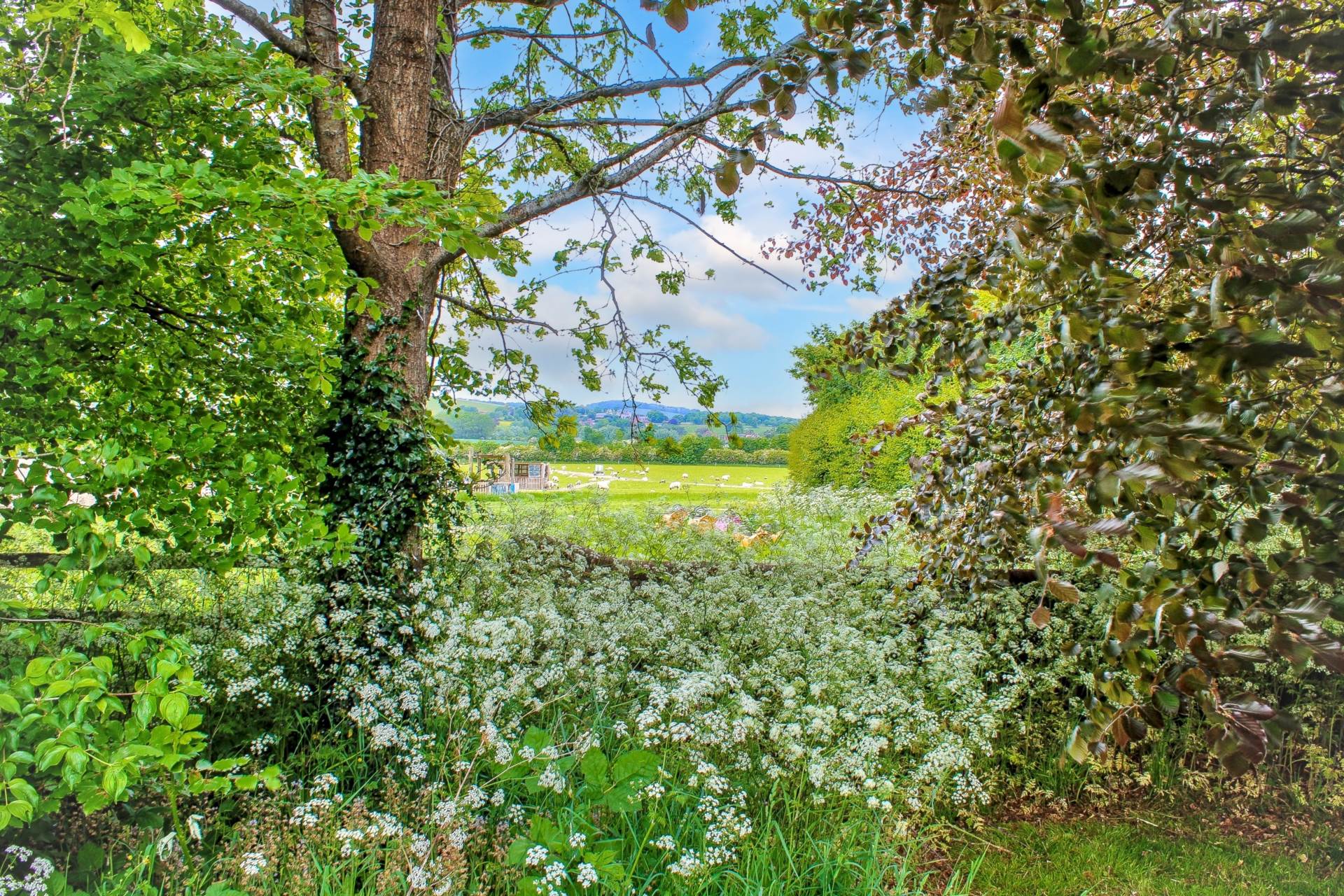 Littledene Cottages, Littledene, Image 33