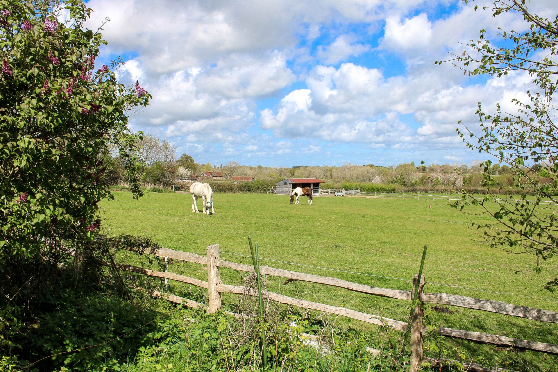 Barcombe Mills Road, Barcombe, Image 18