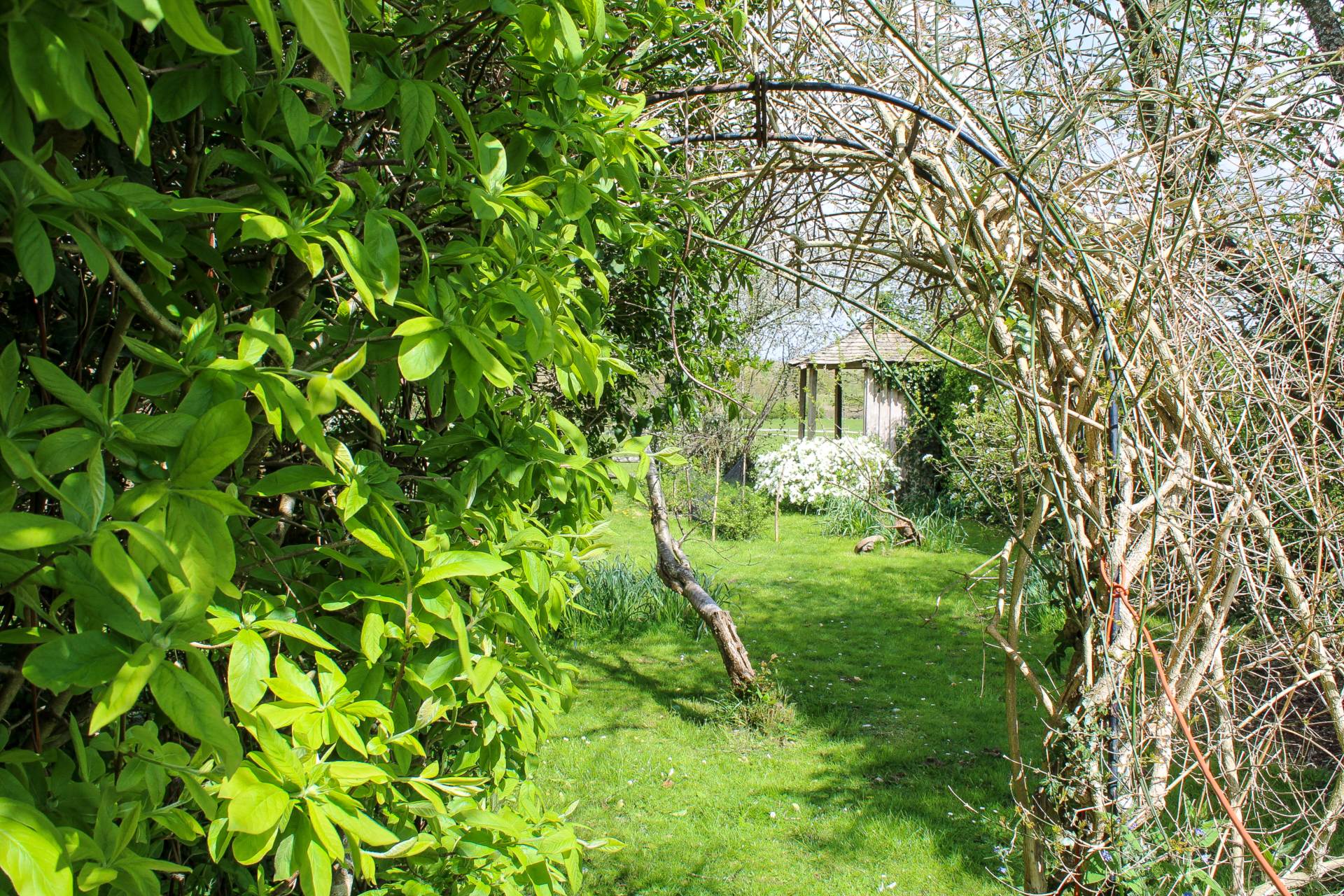 Barcombe Mills Road, Barcombe, Image 20