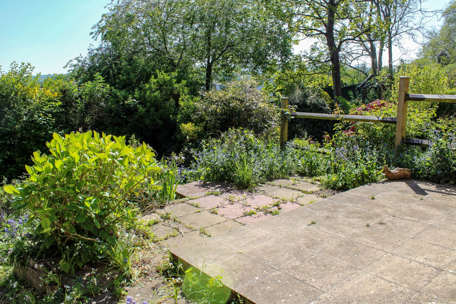 Warren Drive, Lewes, Image 10
