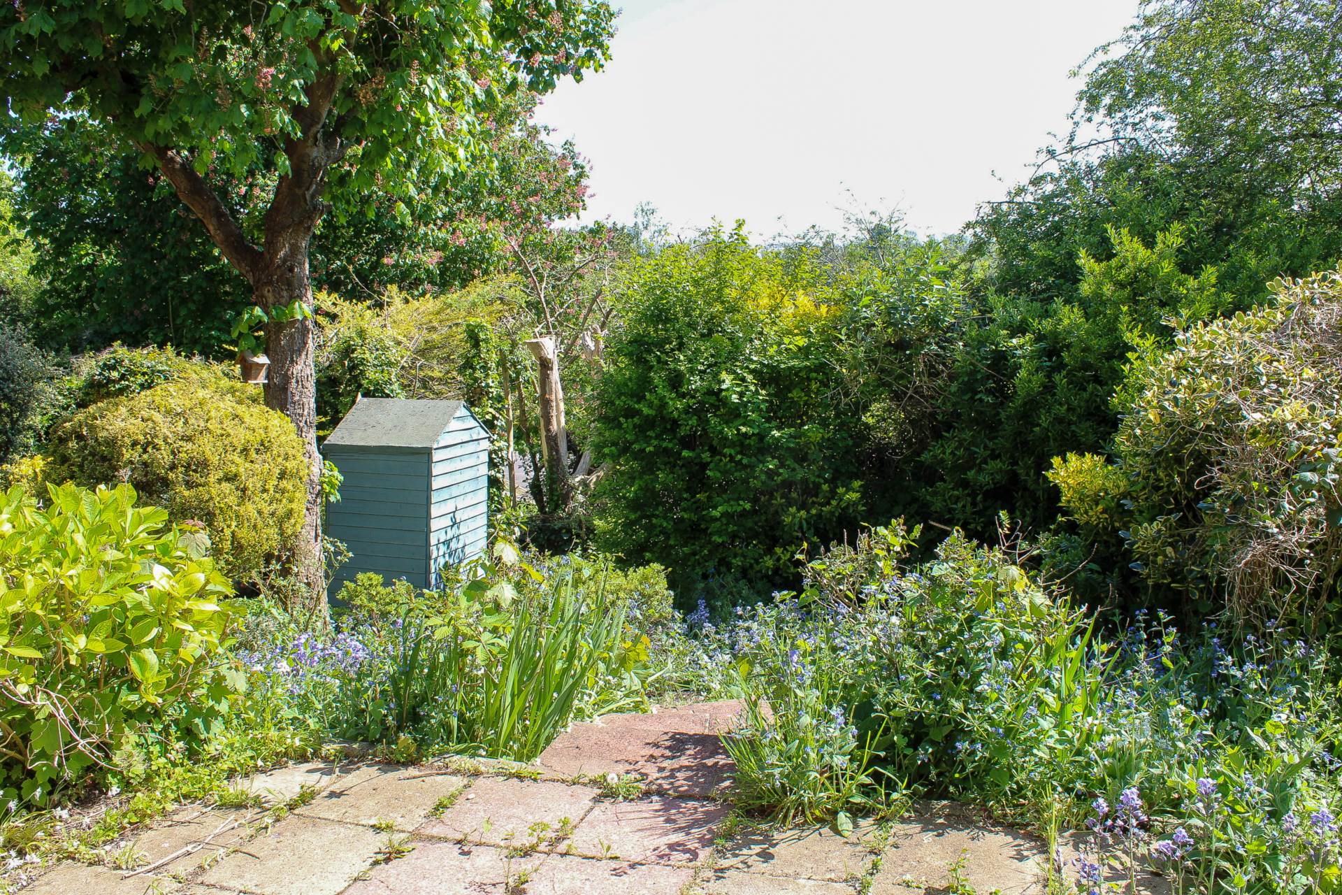 Warren Drive, Lewes, Image 11