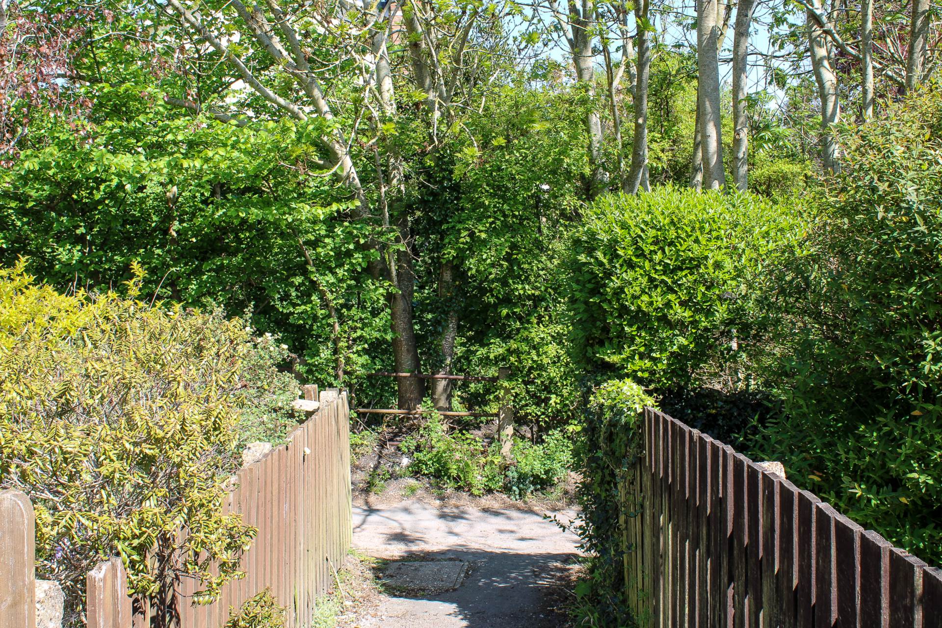 Dale Road, Lewes, Image 27