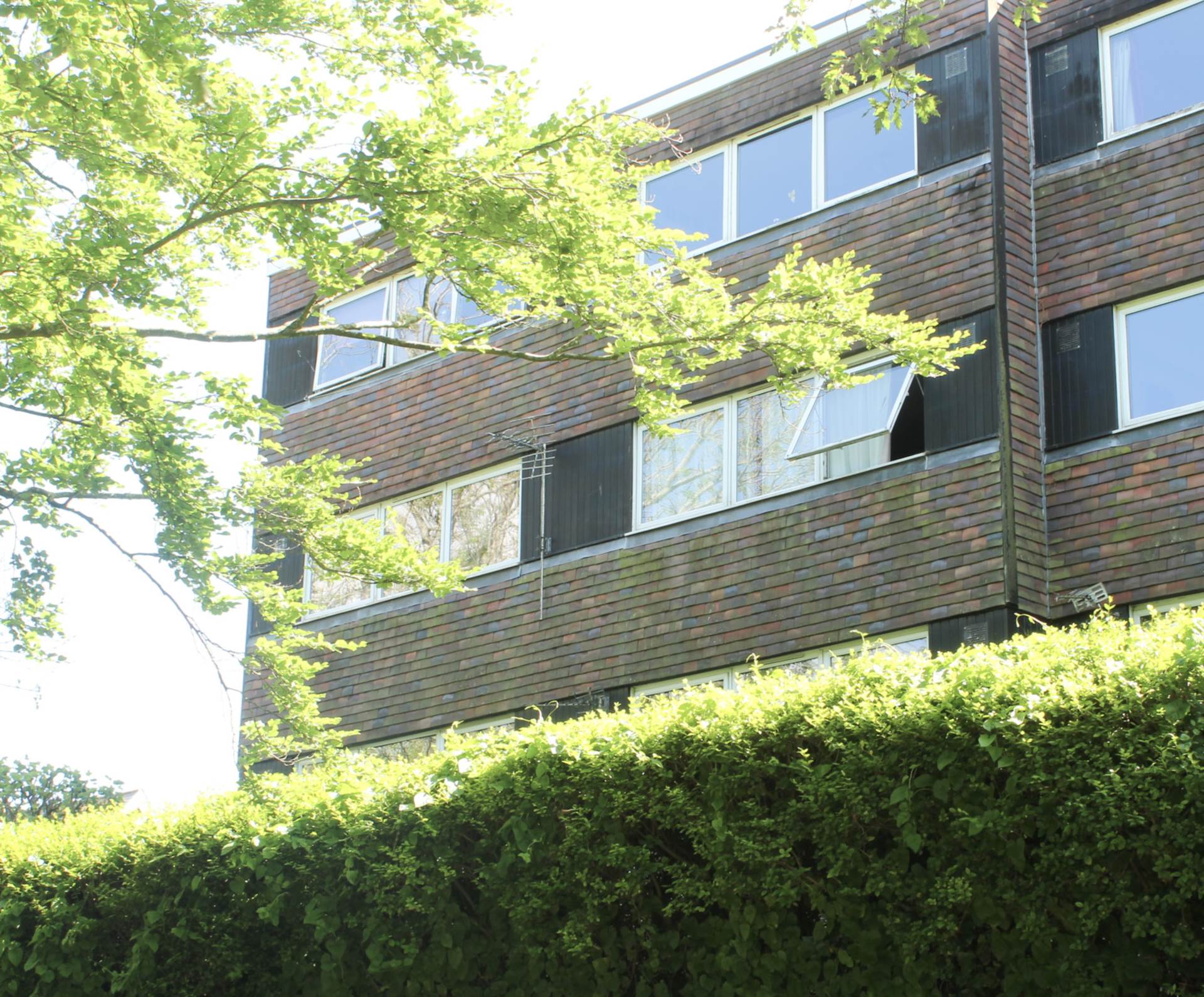 Eleanor Close, King Henrys Road, Lewes, Image 6
