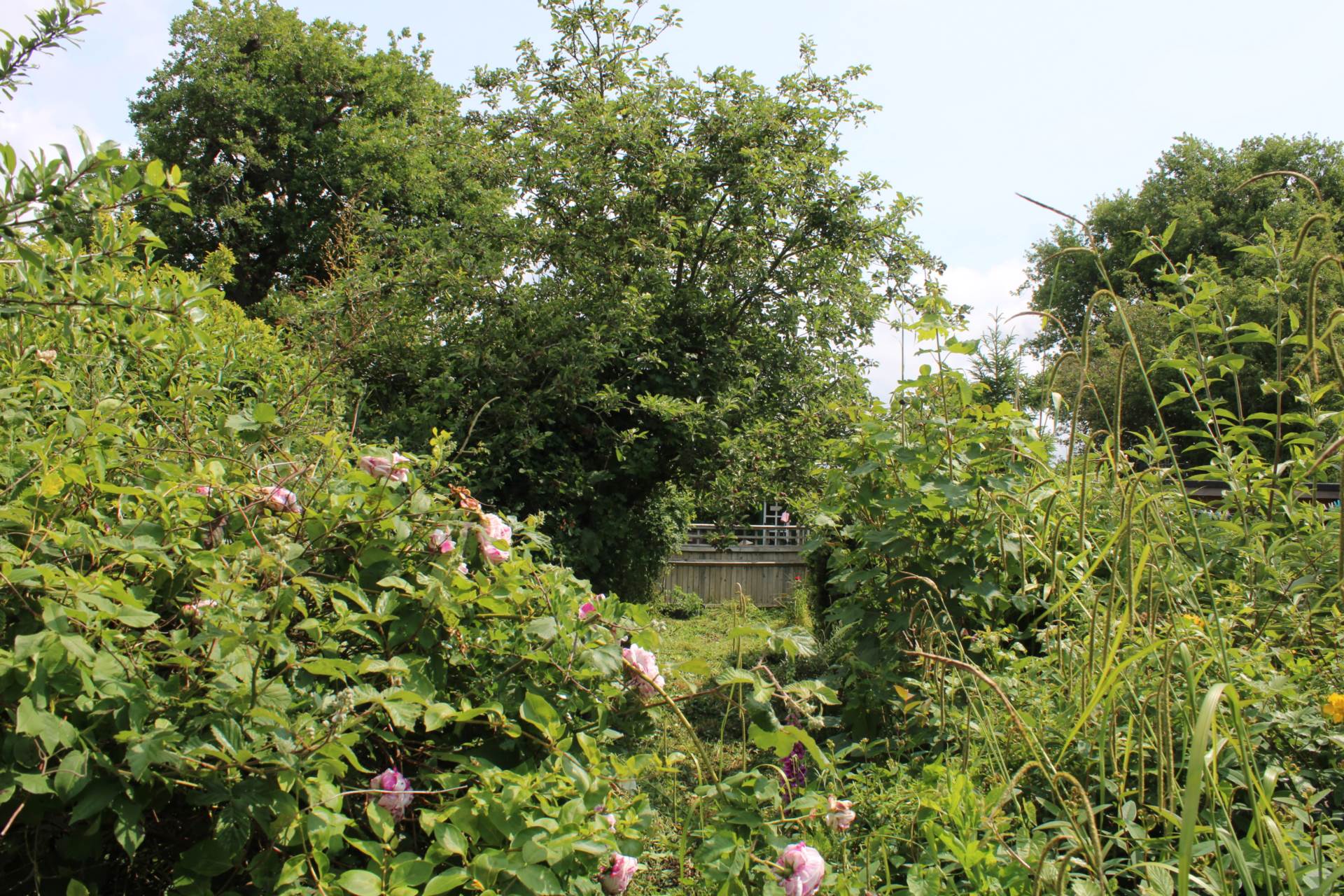 Andros Close, South Chailey, Image 12