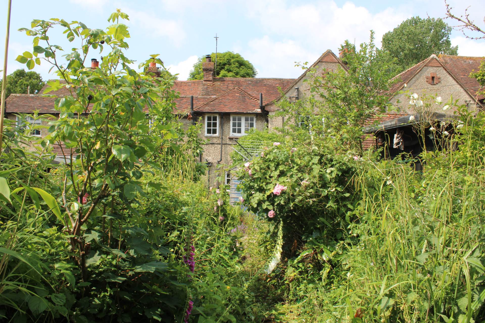 Andros Close, South Chailey, Image 15