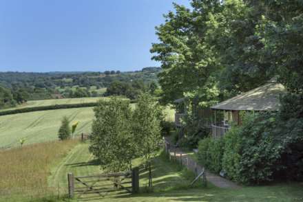 Mayfield, Image 18