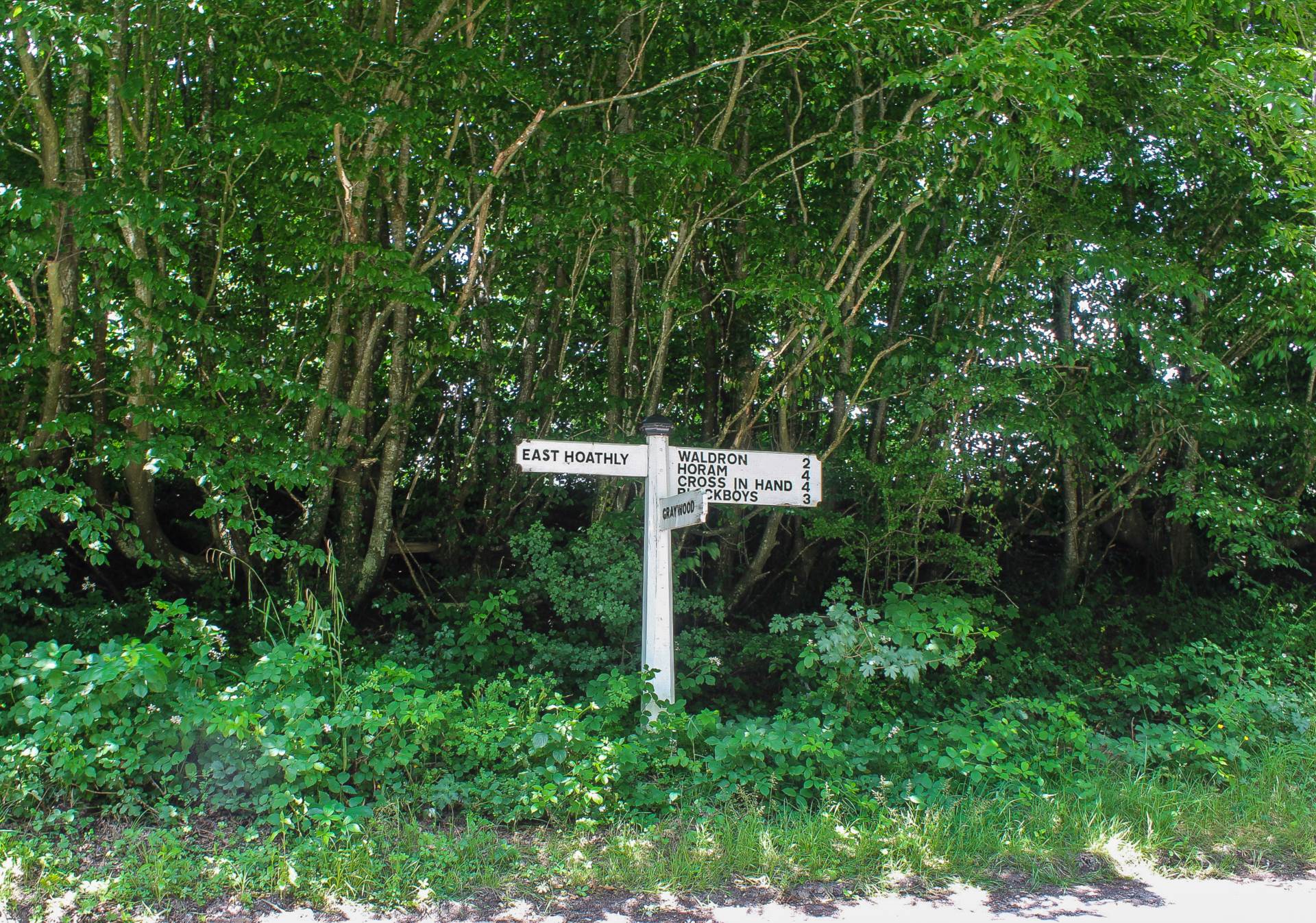 Barham, East Hoathly, Image 24