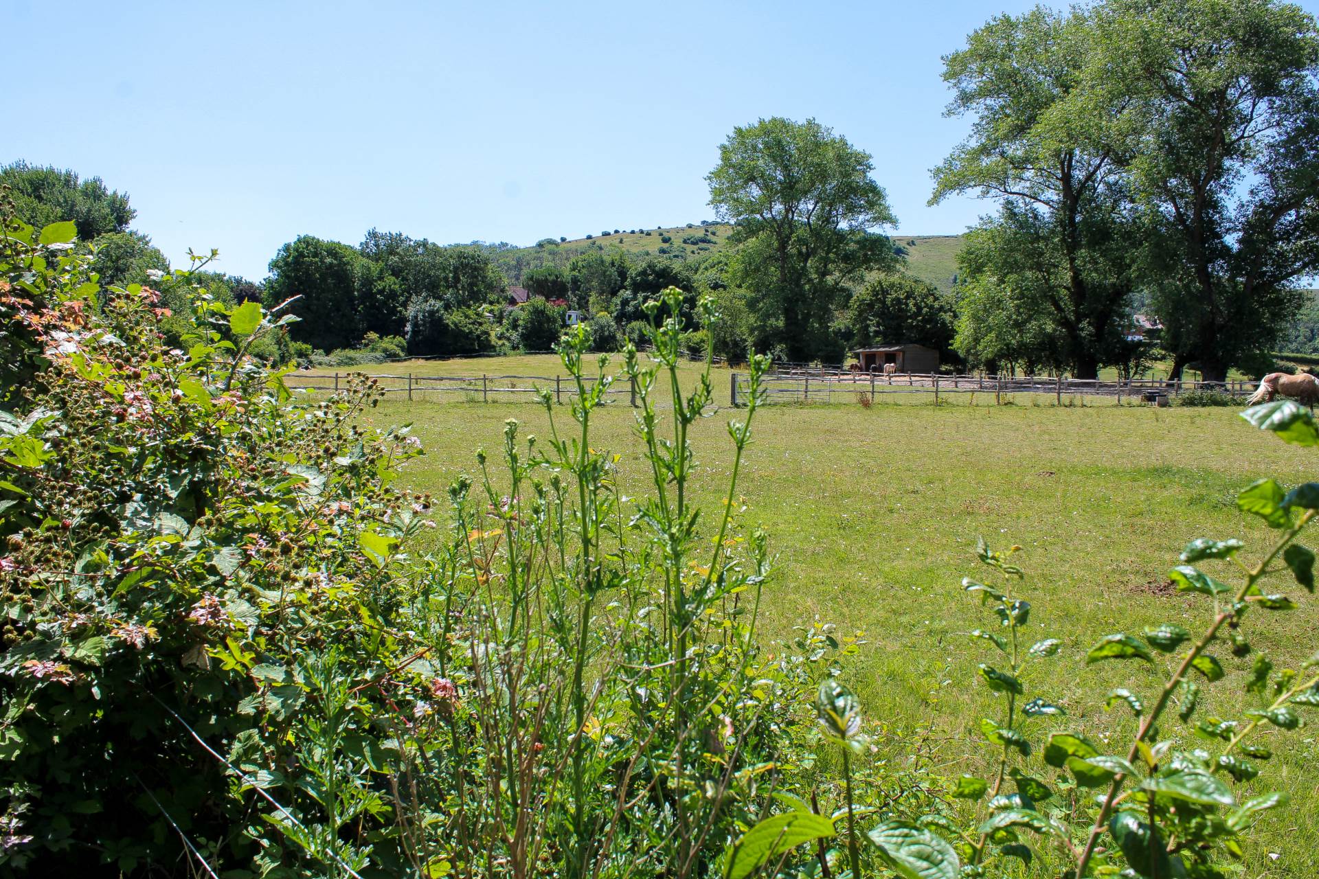 Mill Lane, Poynings, Image 35