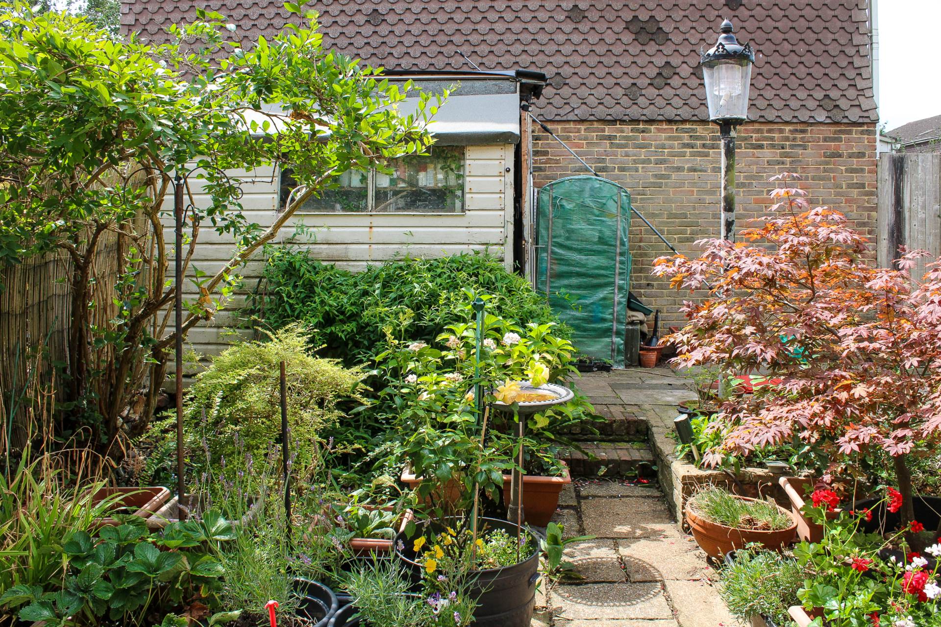 Harvard Close, Lewes, Image 20