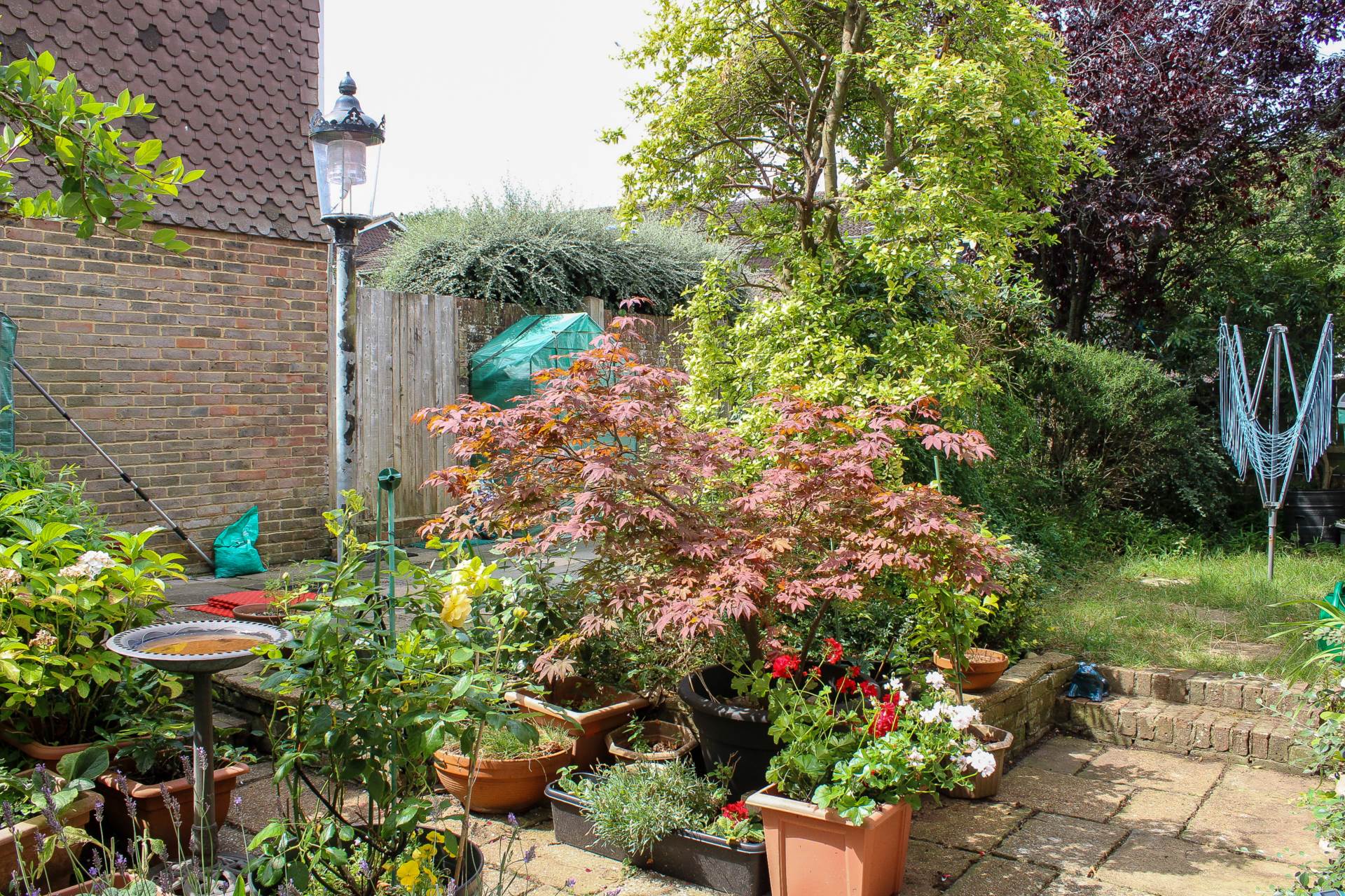 Harvard Close, Lewes, Image 22