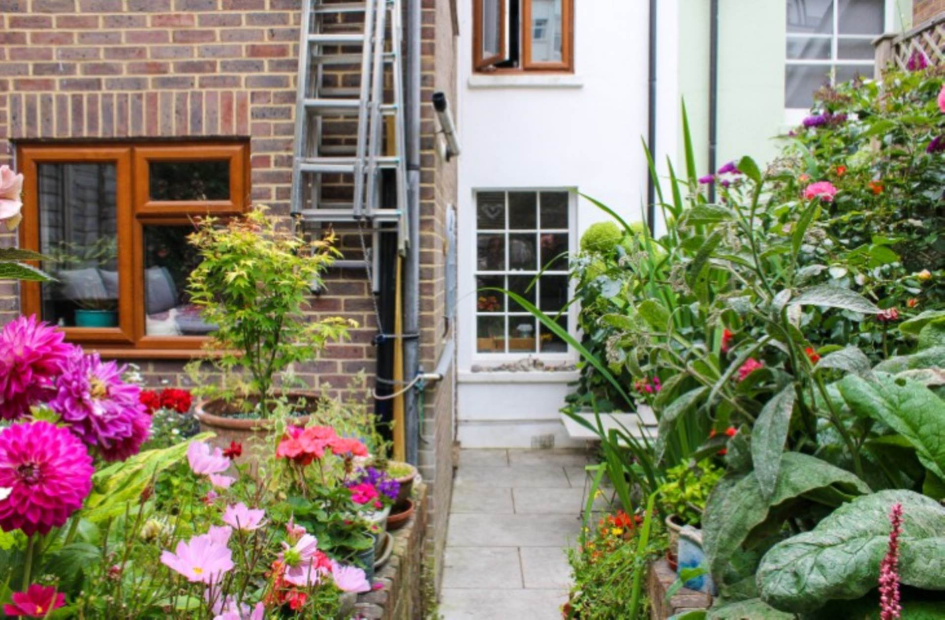 Talbot Terrace, Lewes, Image 22
