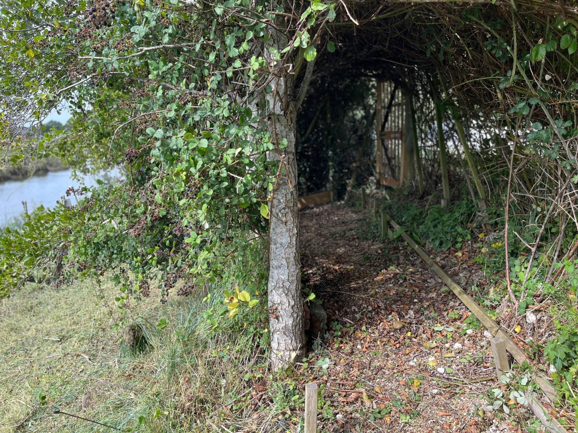 South Street, Lewes, Image 6
