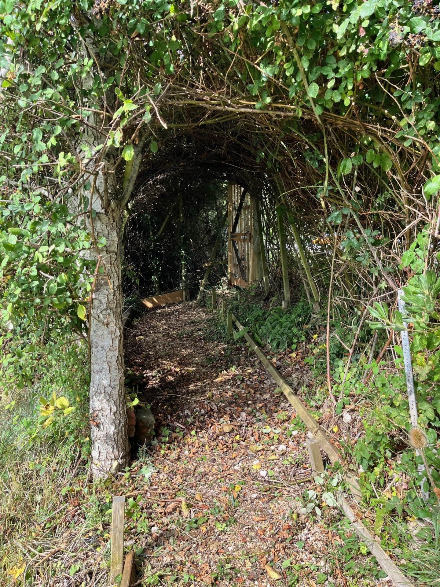 South Street, Lewes, Image 7