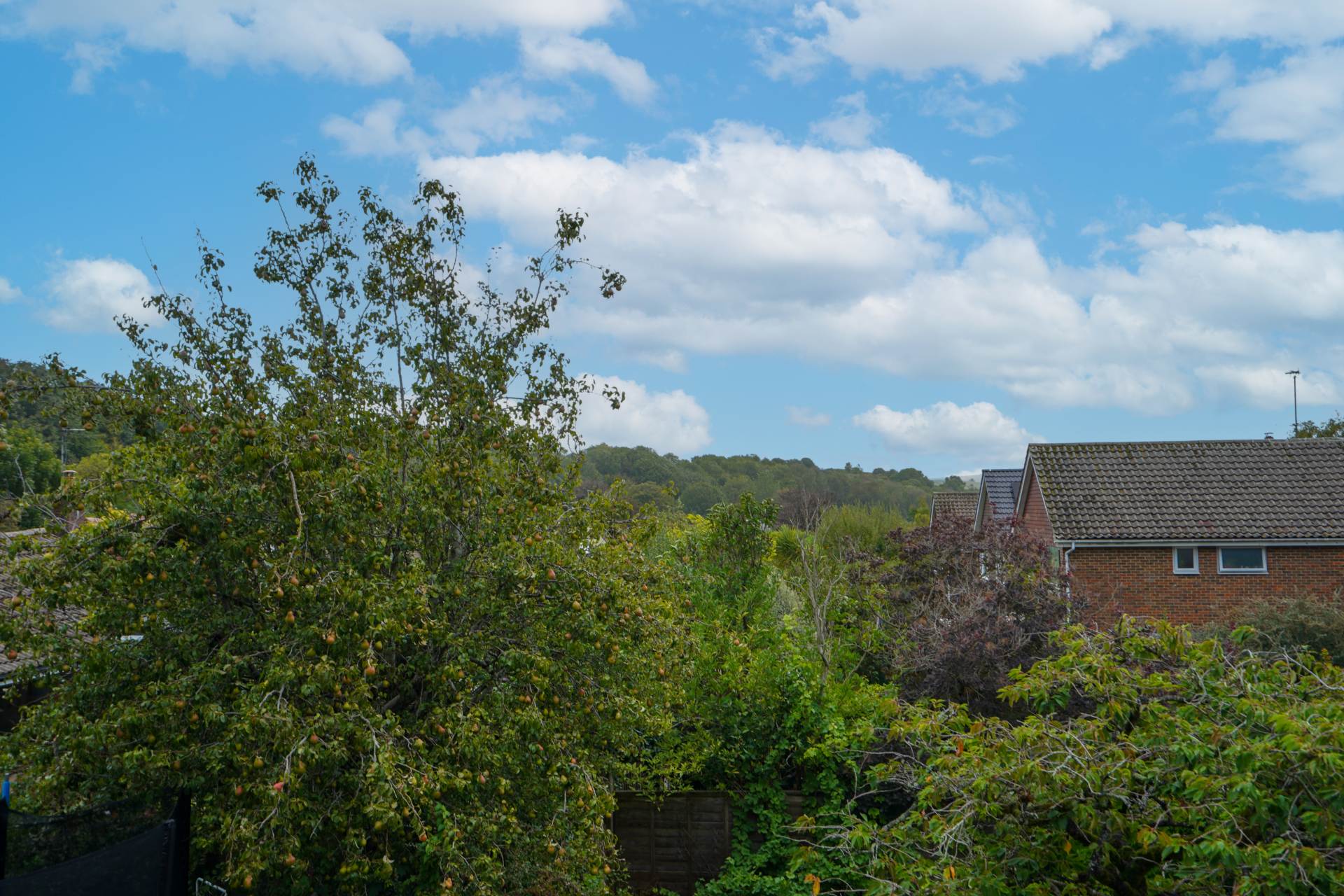 Church Lane, Kingston, Image 13