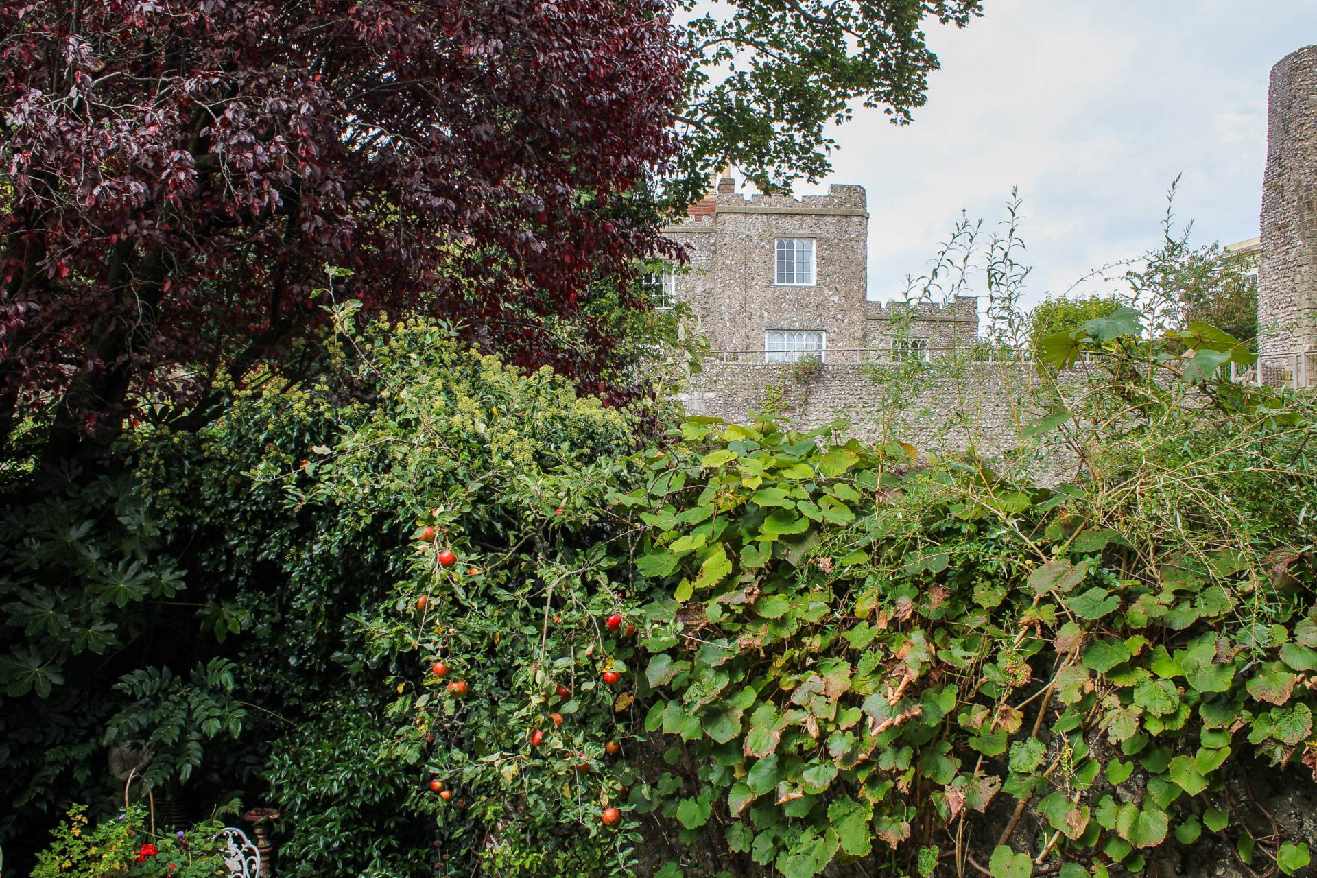 Castle Gate, Lewes, Image 39