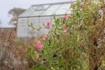 Norlington Lane, Ringmer, Image 34