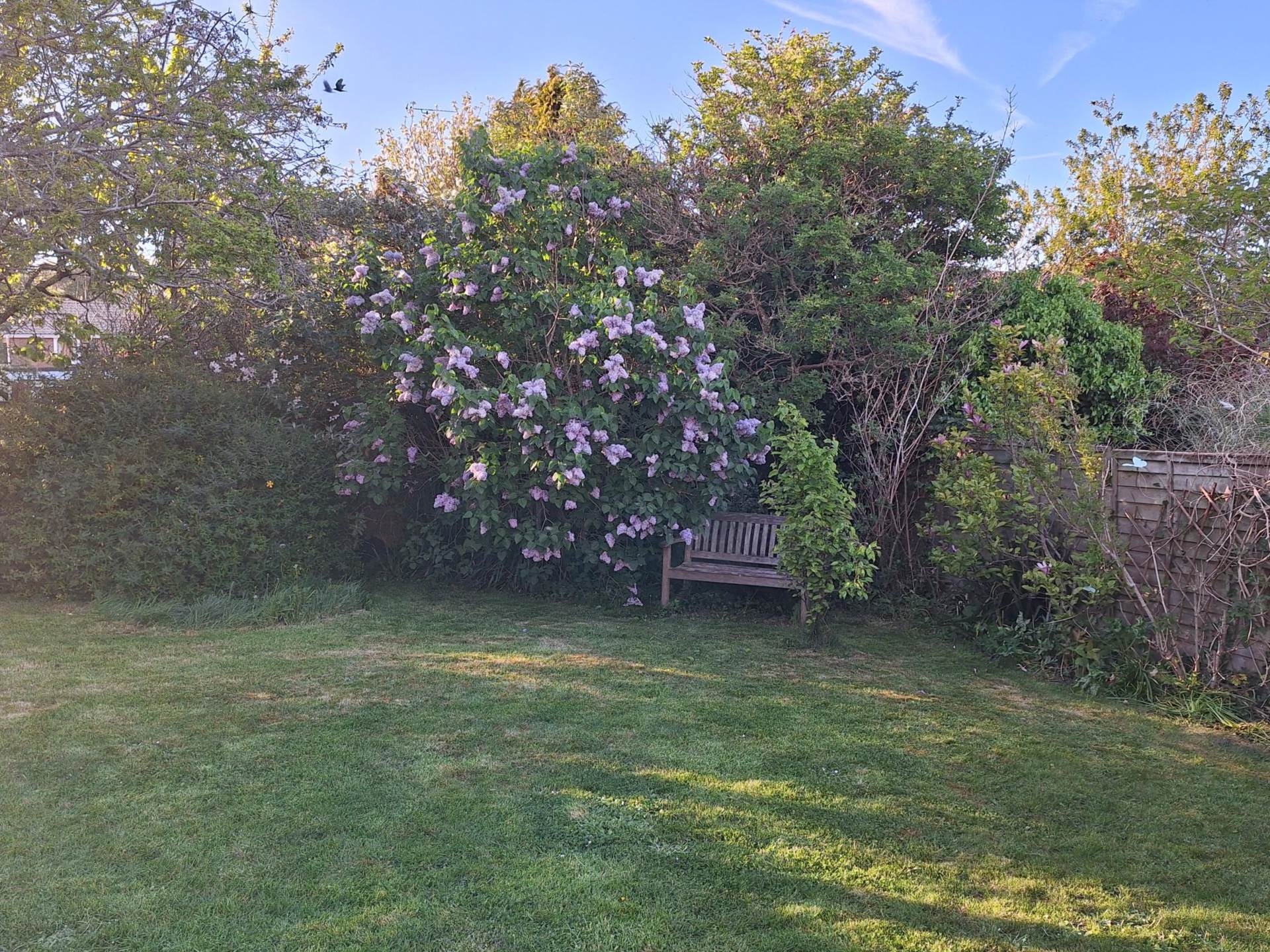Bramleys, Lewes, Image 26