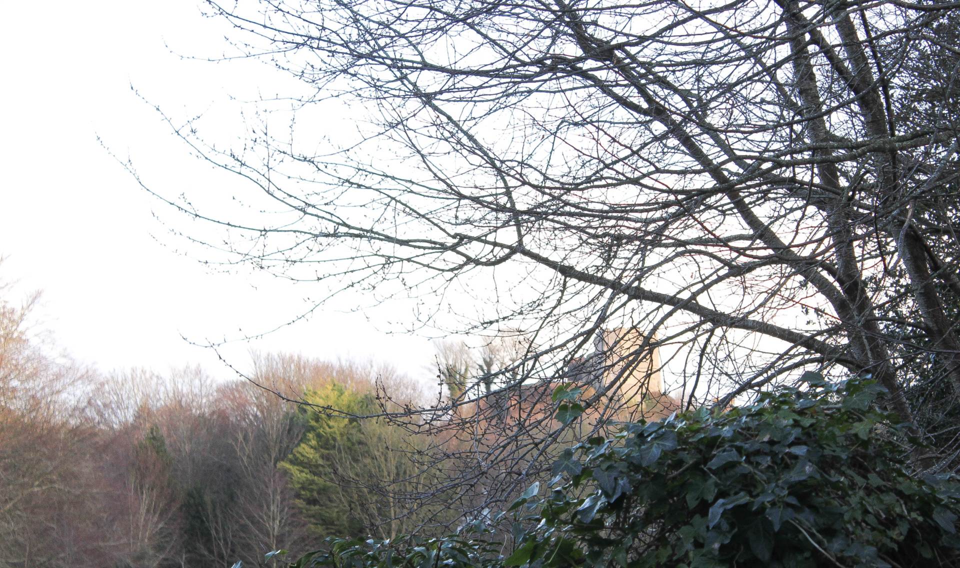 Bradford Road, Lewes, Image 21