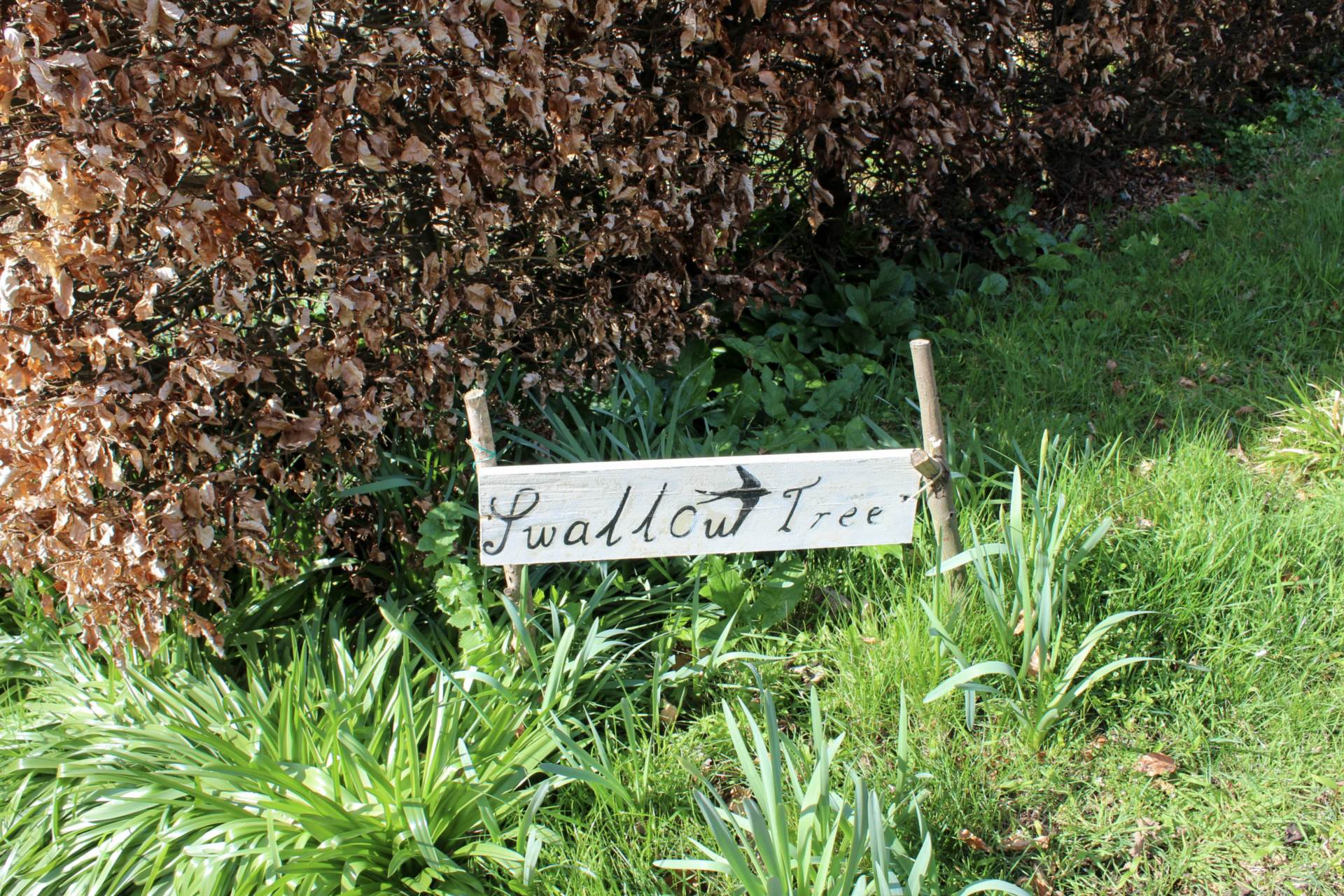 Cuilfail, Lewes, Image 34