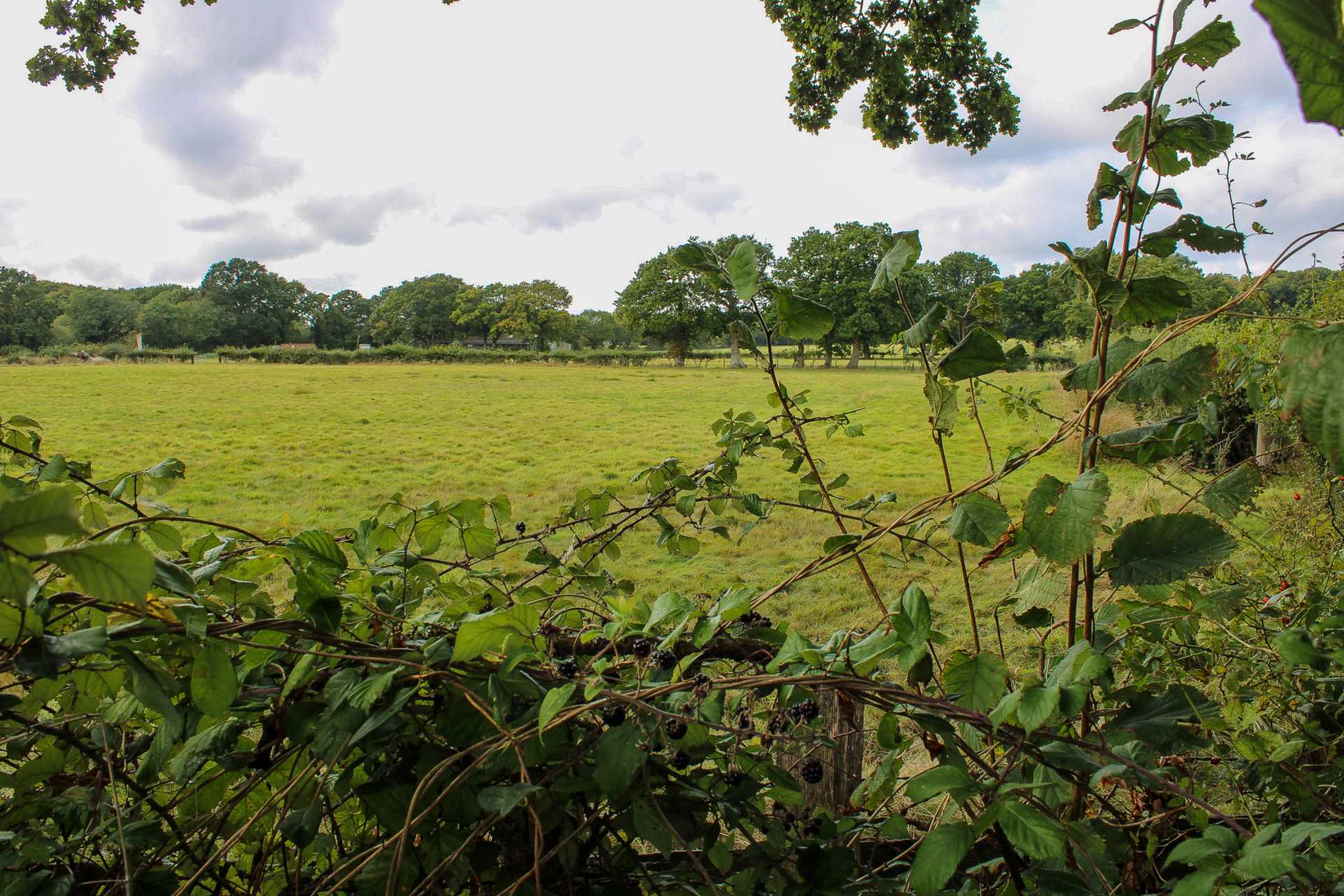 Station Road, Plumpton Green, Image 2