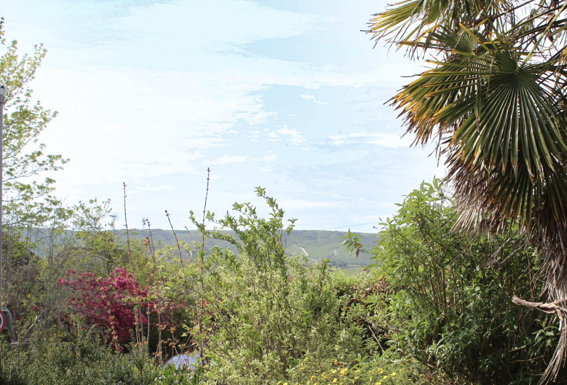 Houndean Rise, Lewes, Image 21