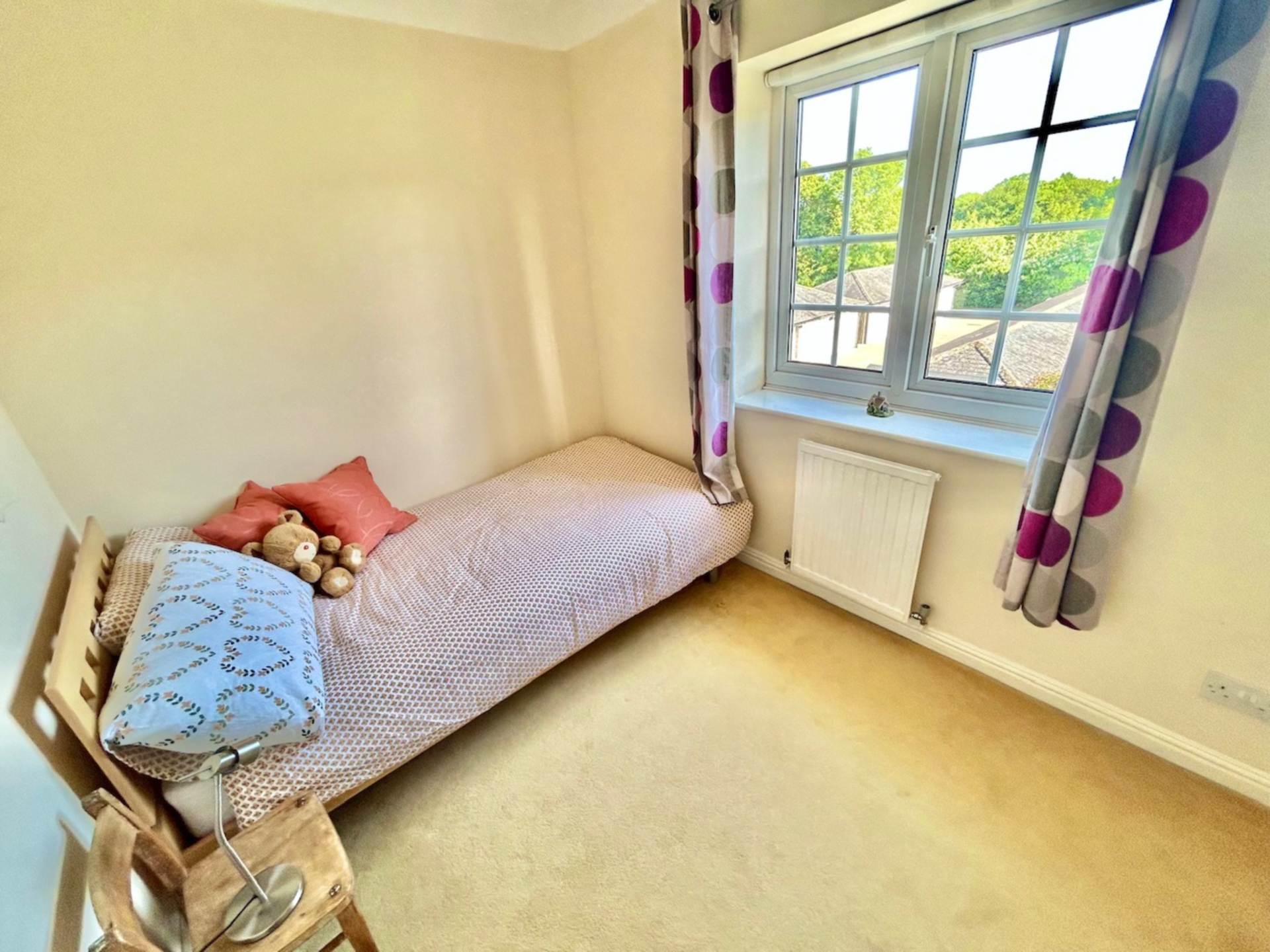Cluny Street, Lewes, Image 12