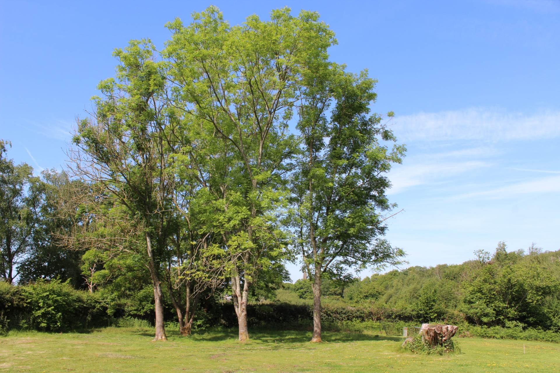 North Chailey, Image 24