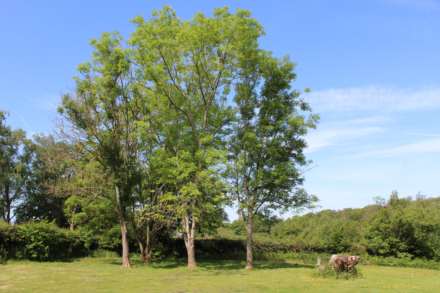North Chailey, Image 24
