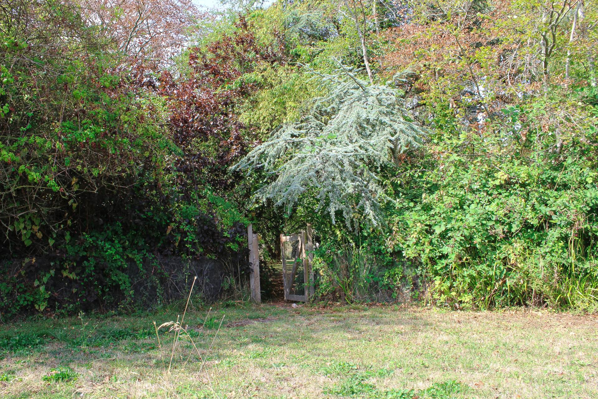 The Street, Wilmington, Image 31
