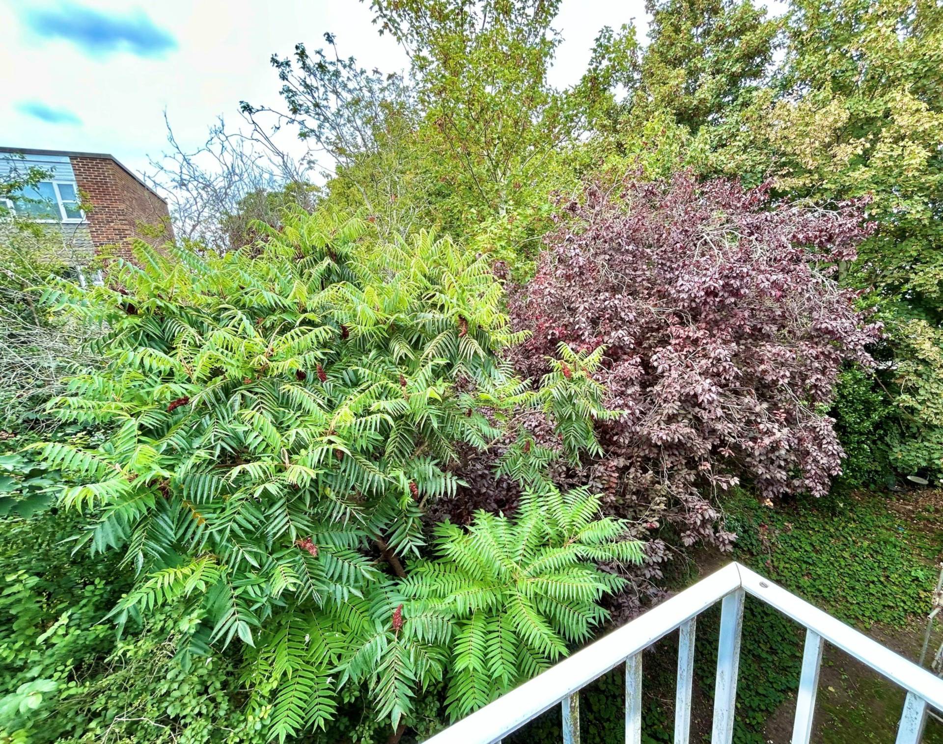 Mountfield Road, Lewes, Image 8