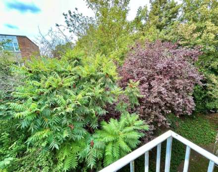 Mountfield Road, Lewes, Image 8