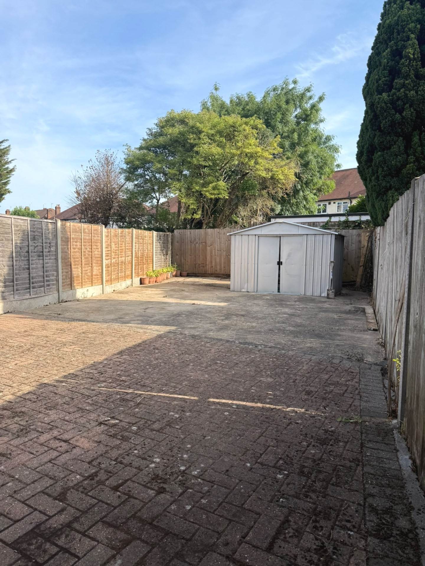 5, Image 8