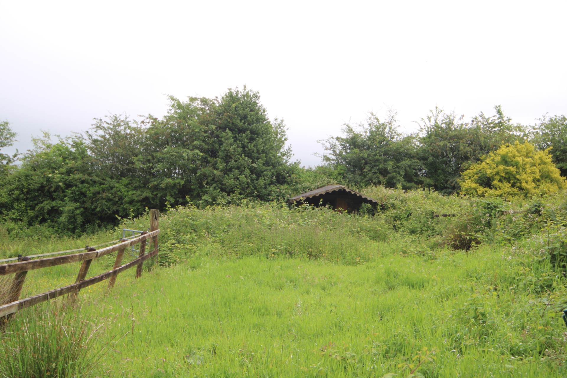 Callington, Image 10