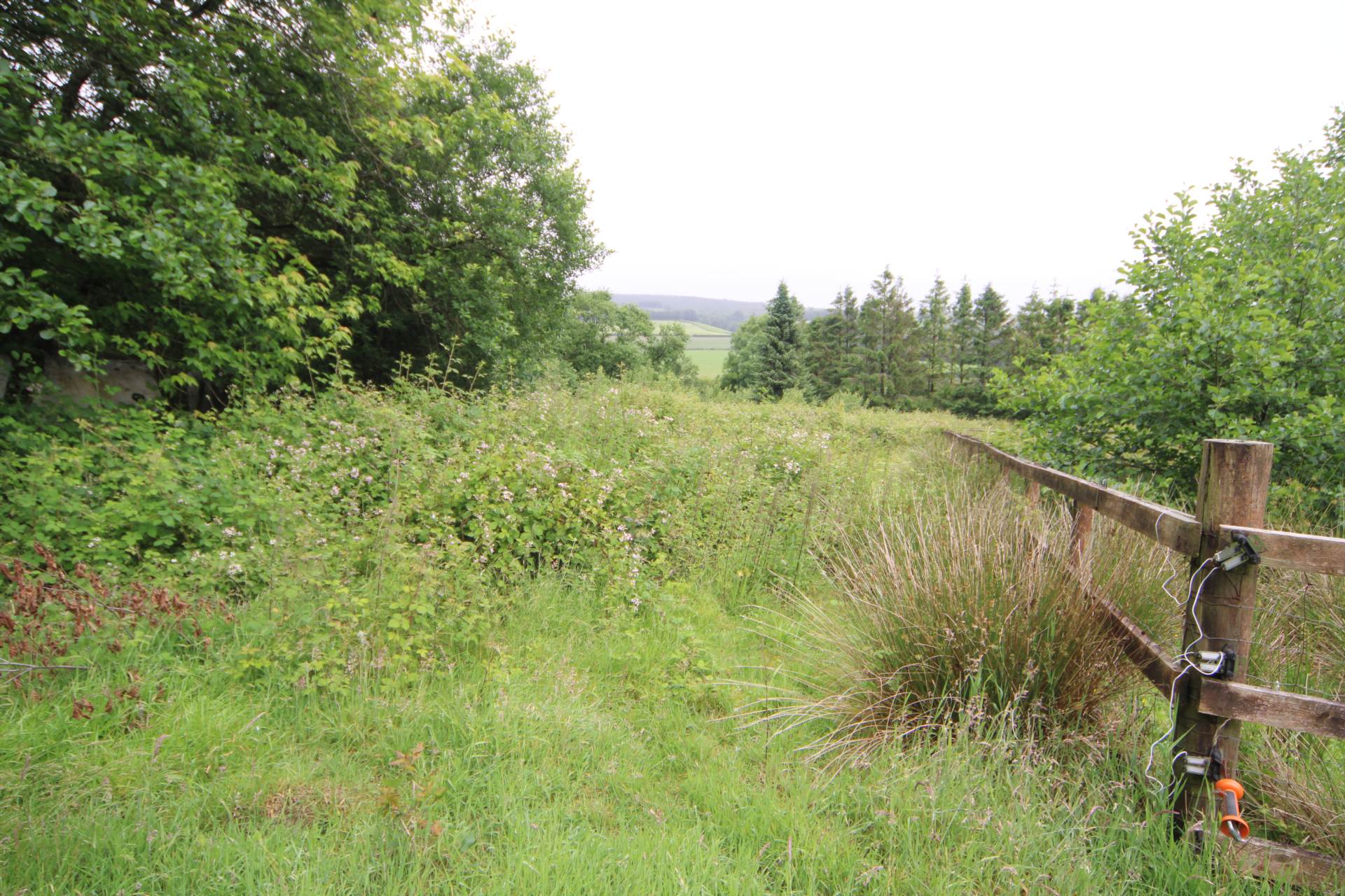Callington, Image 9