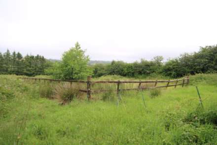 Callington, Image 7
