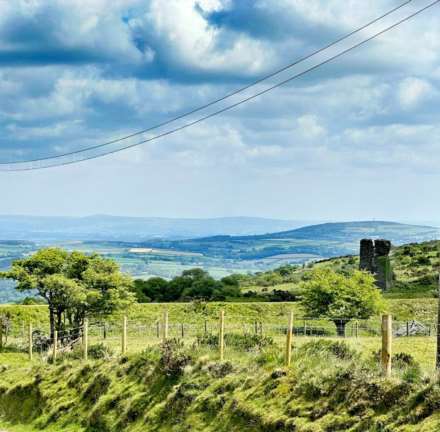 Caradon View, Minions, Image 35