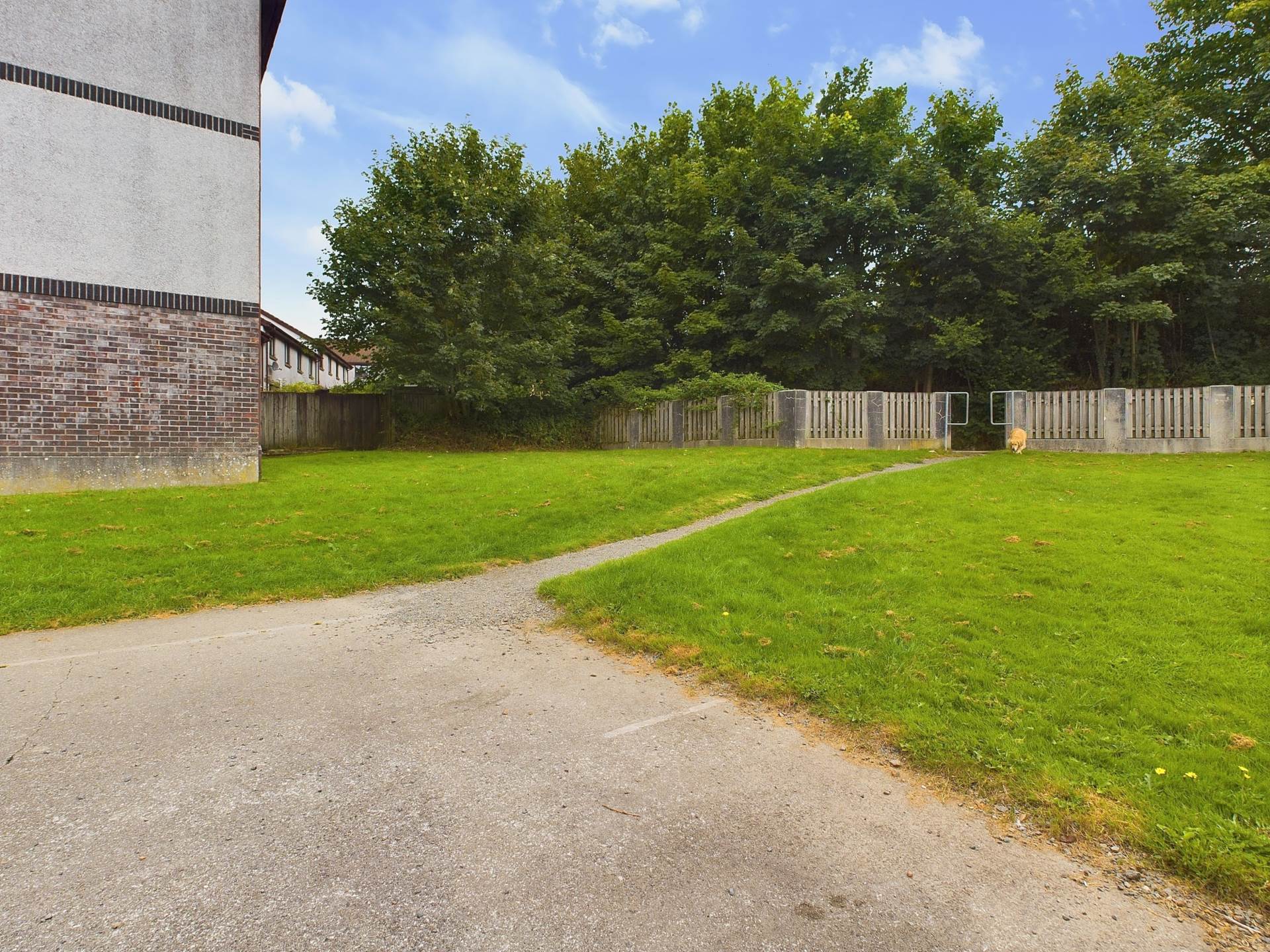Callington, Image 8