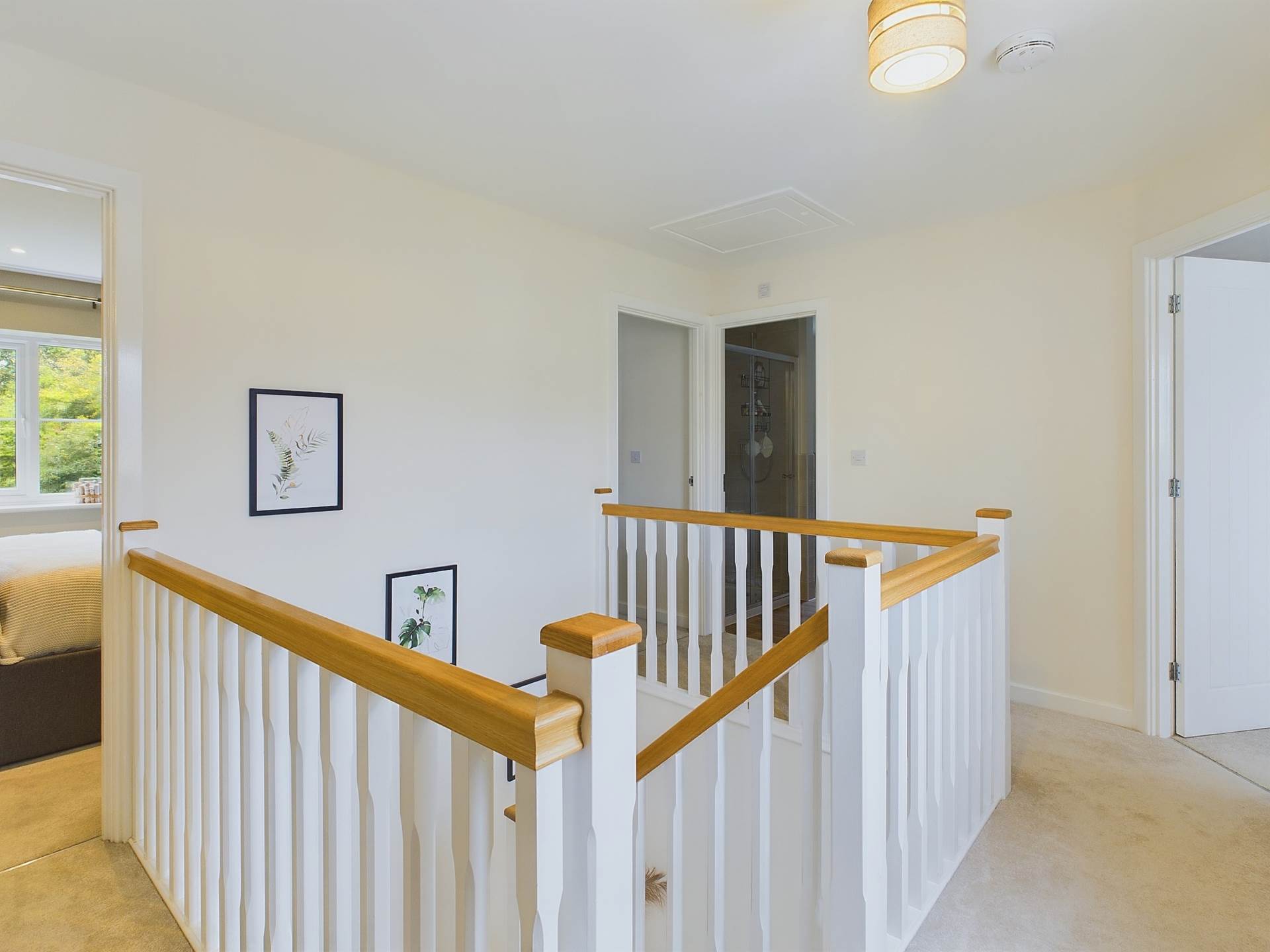 Buzzard Rise, St Ann's Chapel, Image 19