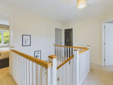 Buzzard Rise, St Ann's Chapel, Image 19