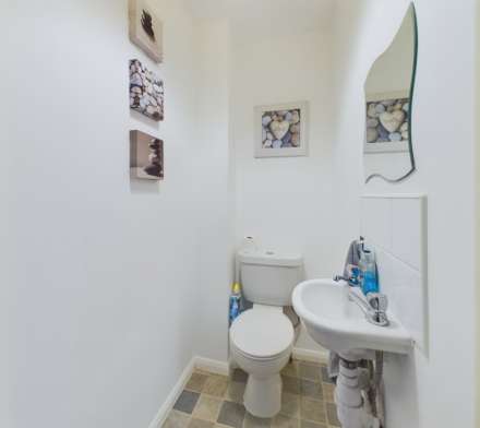 Kelly Bray, Image 11