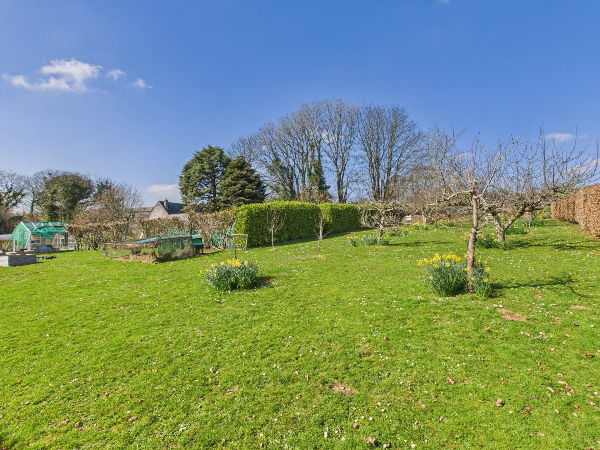 Harrowbarrow, Callington., Image 21