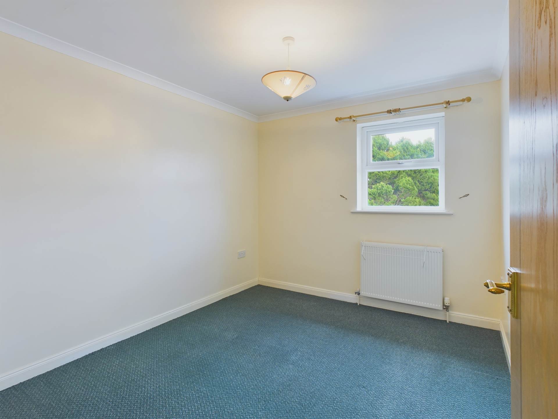Kelly Bray, Callington., Image 4