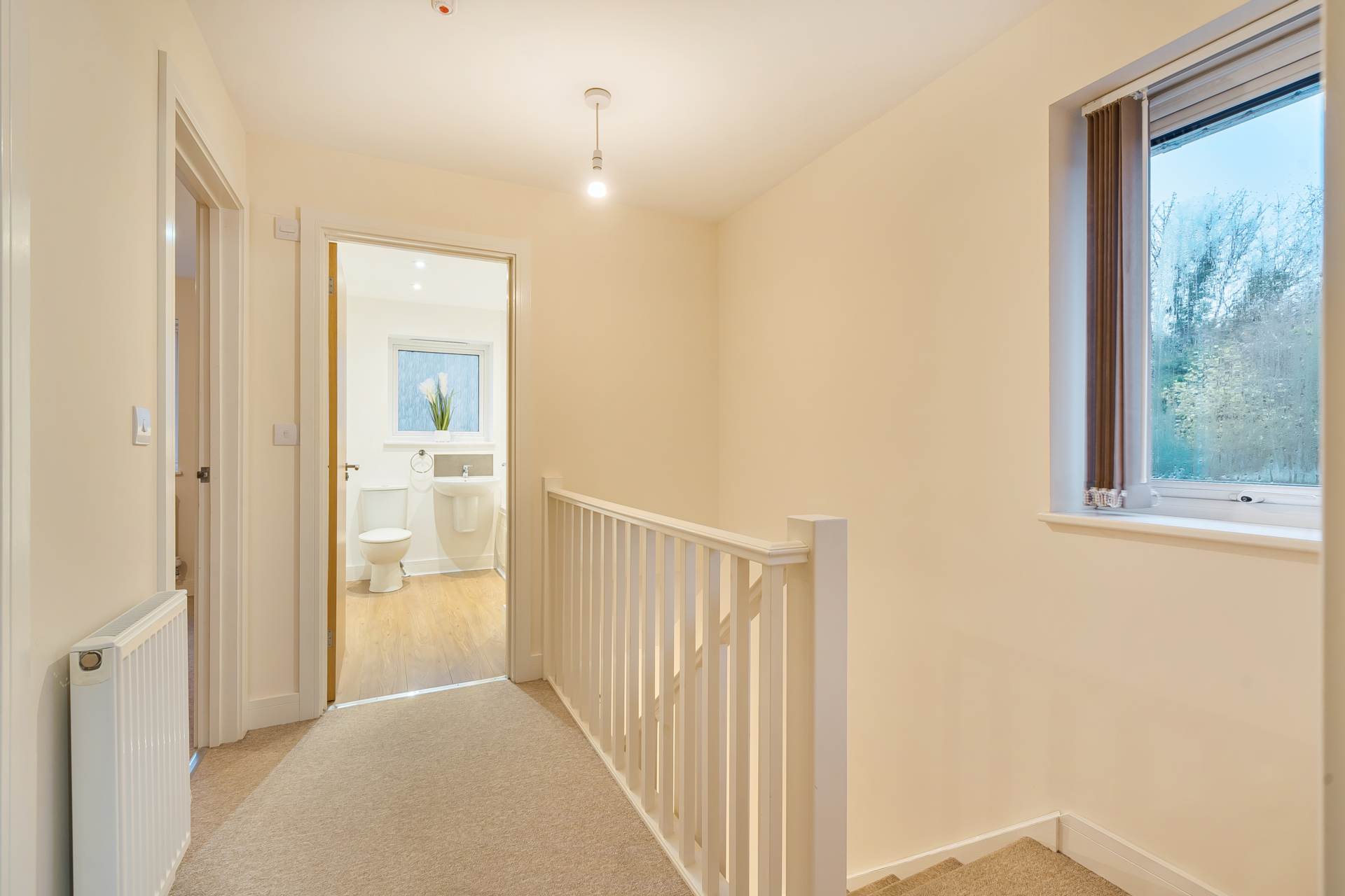 Drakewalls, Gunnislake, Image 8