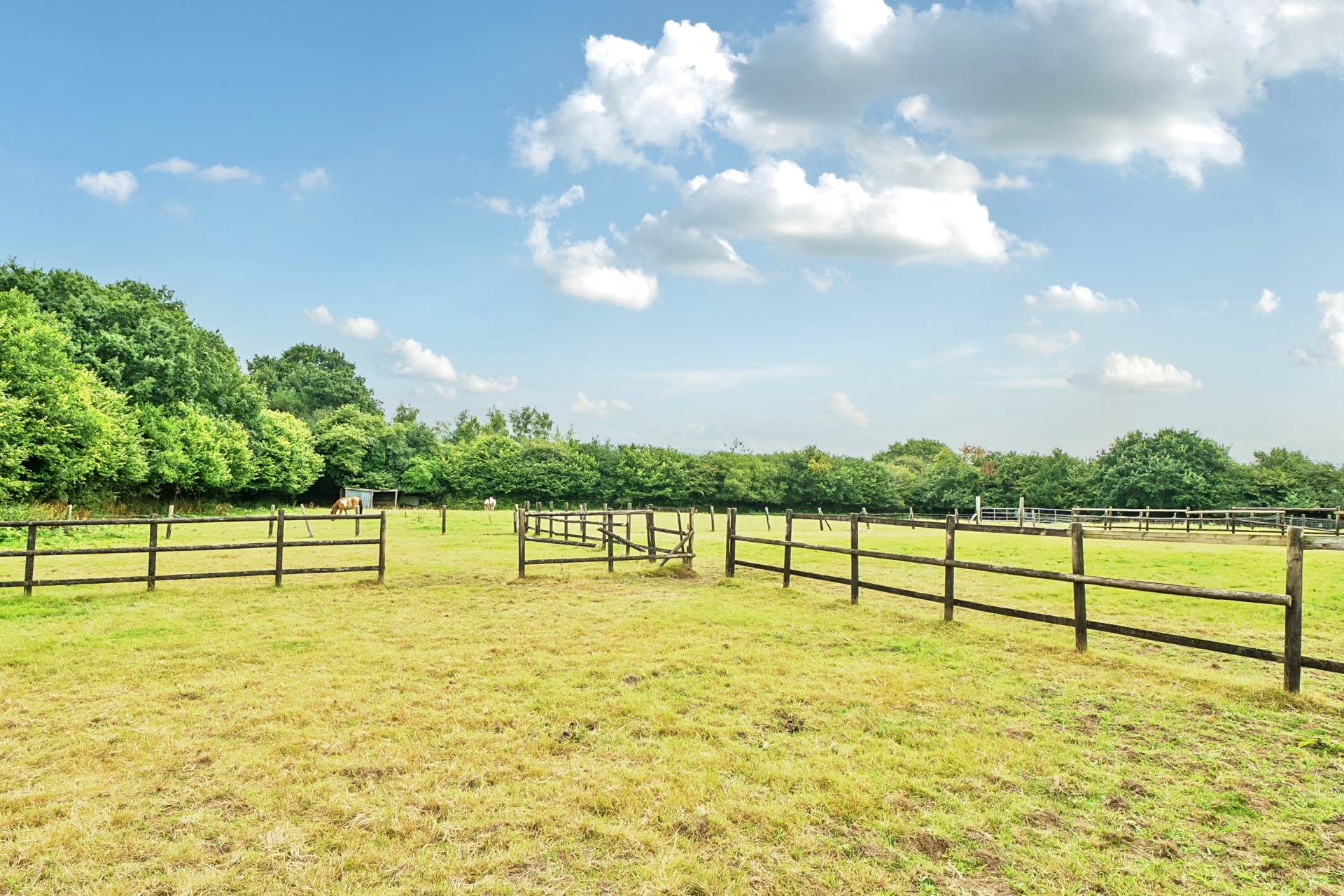 Cox Park, Gunnislake, Image 16