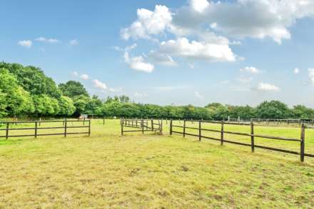 Cox Park, Gunnislake, Image 16