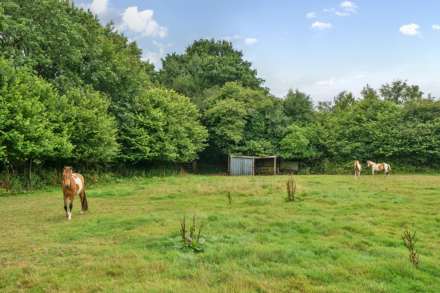 Cox Park, Gunnislake, Image 17