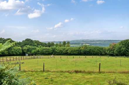 Cox Park, Gunnislake, Image 7