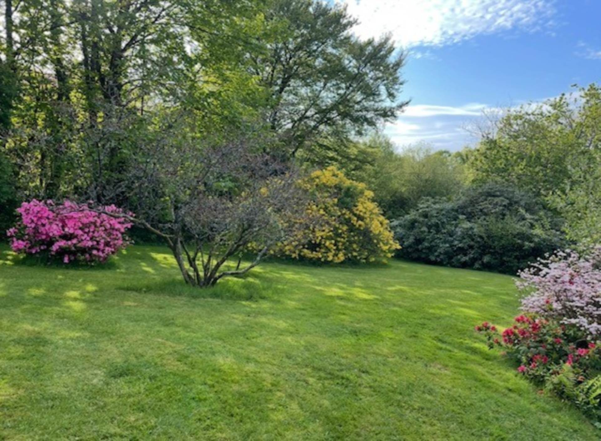 Trecombe, Callington, Image 27